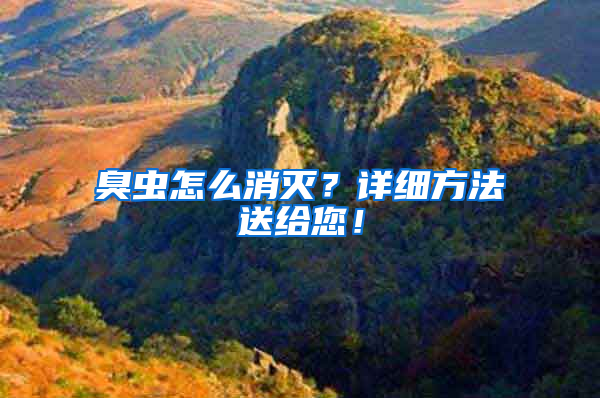 臭蟲(chóng)怎么消滅？詳細(xì)方法送給您！