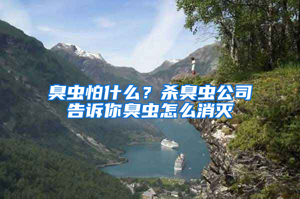 臭蟲怕什么？殺臭蟲公司告訴你臭蟲怎么消滅