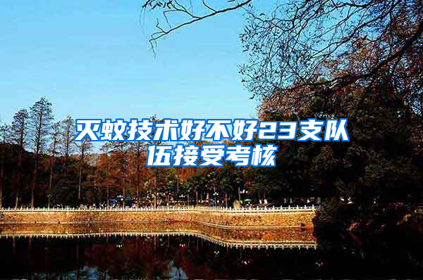 滅蚊技術好不好23支隊伍接受考核