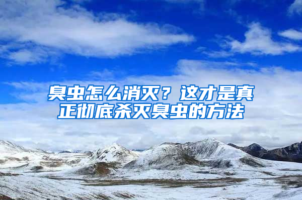臭蟲怎么消滅？這才是真正徹底殺滅臭蟲的方法